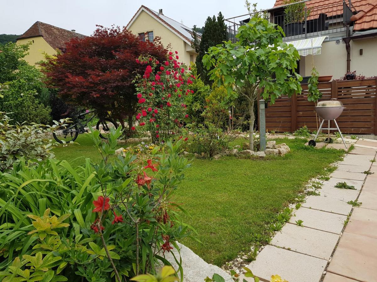 Bnb Comfort Guesthouse Olten - Lostorf Ngoại thất bức ảnh