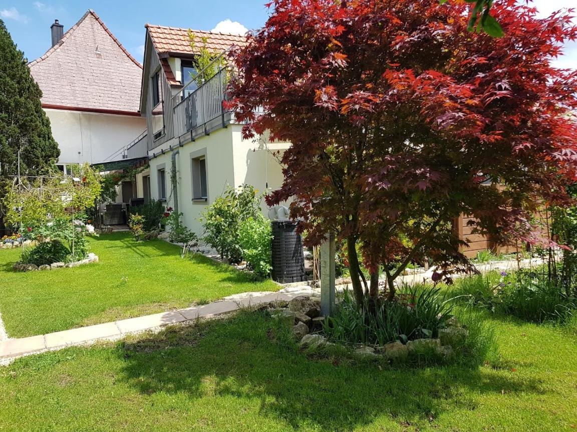 Bnb Comfort Guesthouse Olten - Lostorf Ngoại thất bức ảnh