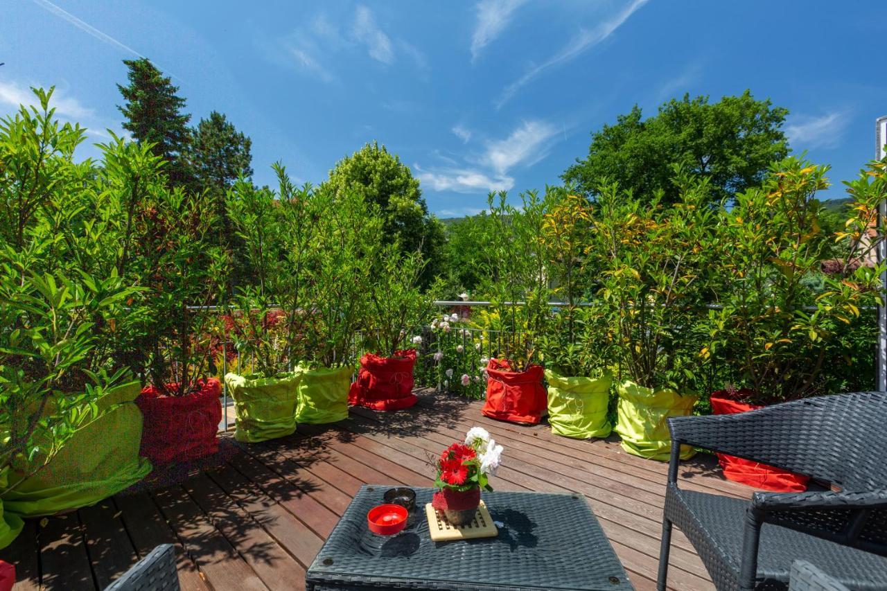 Bnb Comfort Guesthouse Olten - Lostorf Ngoại thất bức ảnh